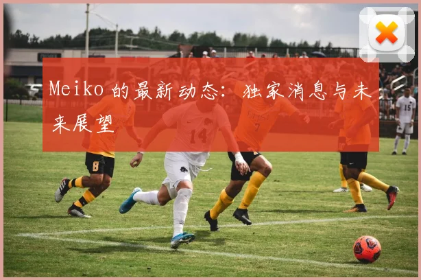 Meiko 的最新动态：独家消息与未来展望