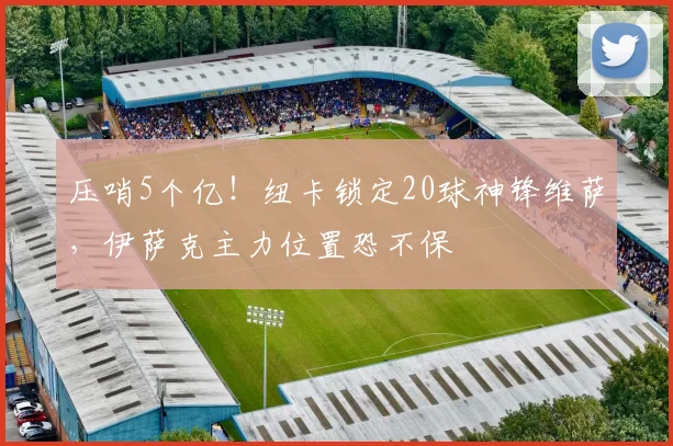 压哨5个亿！纽卡锁定20球神锋维萨，伊萨克主力位置恐不保